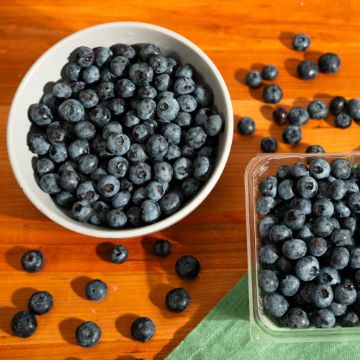 Organic Blueberries - 1 pint