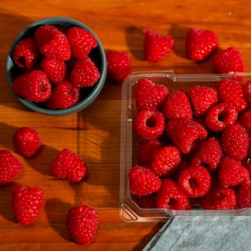 Raspberries - 6 oz