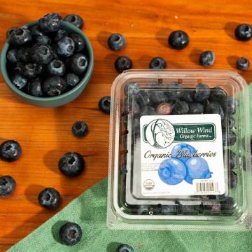 Organic Blueberries - 6 oz