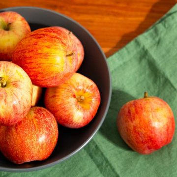 Organic Gala Apples - 3 lbs