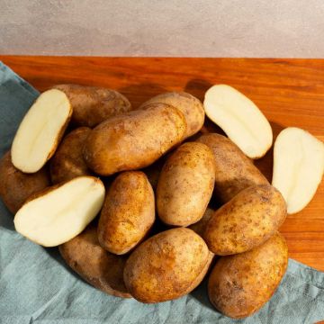 Russet Potatoes - 5 lbs