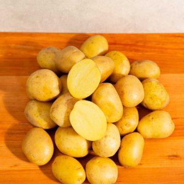 Yellow Potatoes - 5 lbs