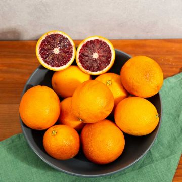 Image of Organic Blood Oranges - 2 lbs