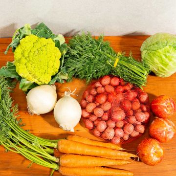 Seasonal Harvest Produce Box